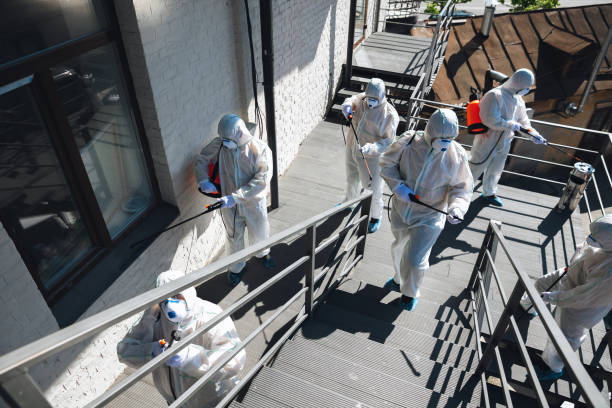 Best Mold Documentation for Insurance Claims  in Carlisle, PA
