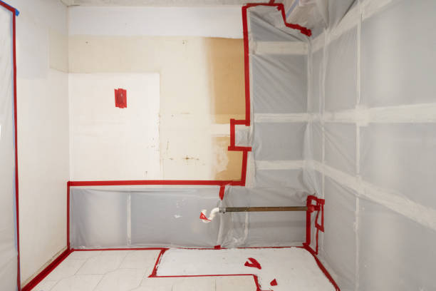 Best Environmental Consulting for Mold Prevention  in Carlisle, PA